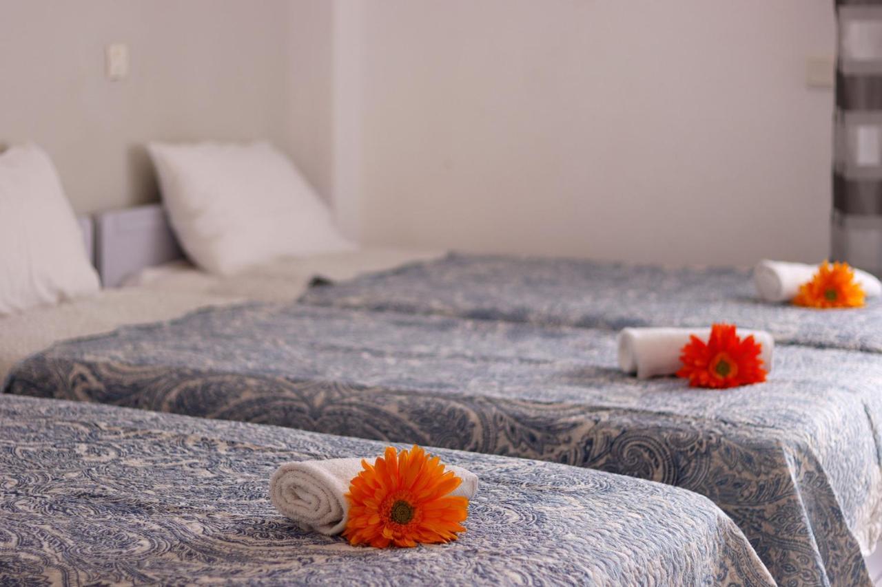 Alexandris Apartments 波利克罗诺 外观 照片